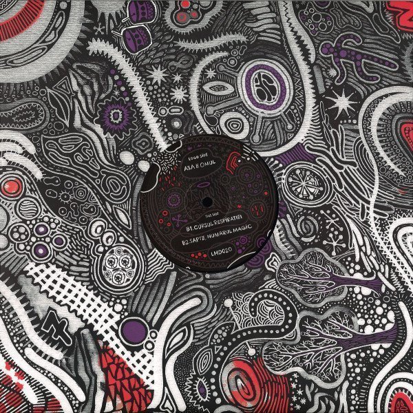 img-d-8Ec3OY5cY Pata Din Mijlocul Naturii