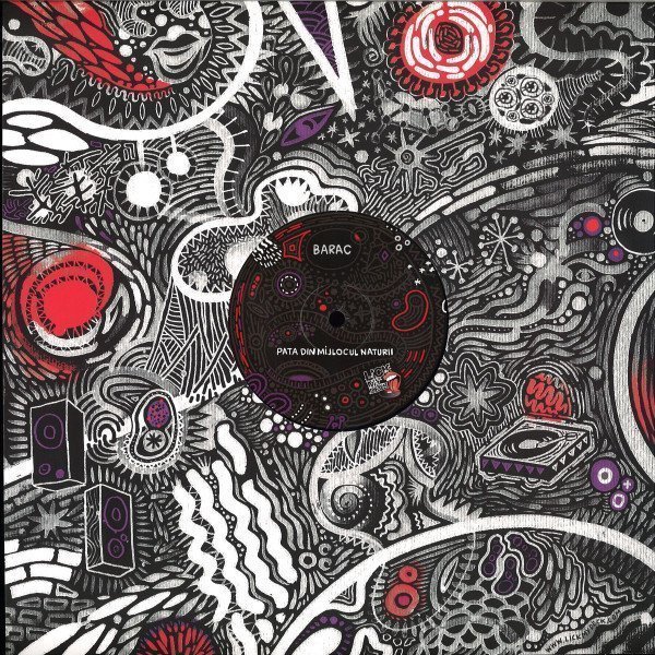 img-d-QZBYknKBk Pata Din Mijlocul Naturii