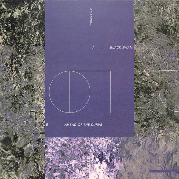 ADAM006 2 Black Swan