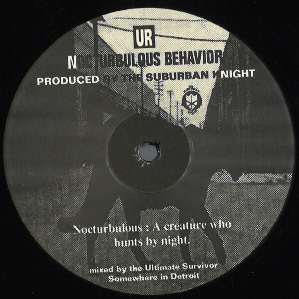 Nocturbulous Behavior