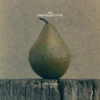 V.A. 002 - Pear