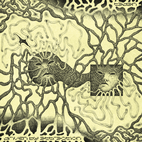 127AREA003_1 That’s It