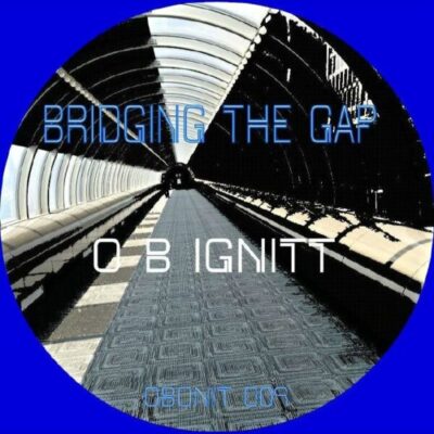 bridging the gap