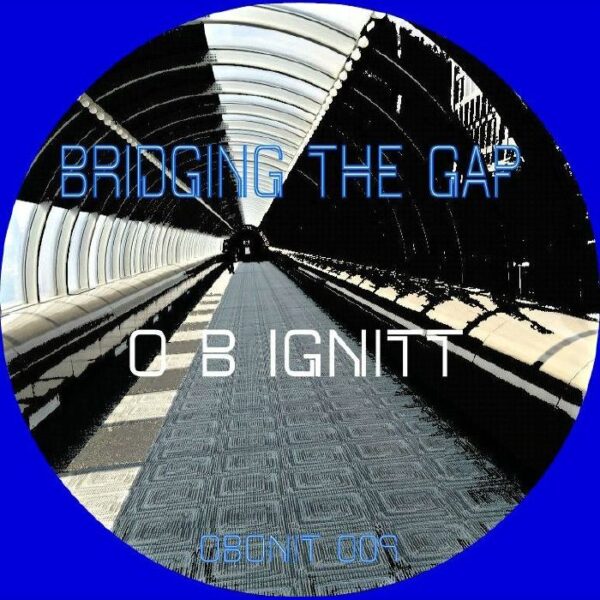 bridging the gap