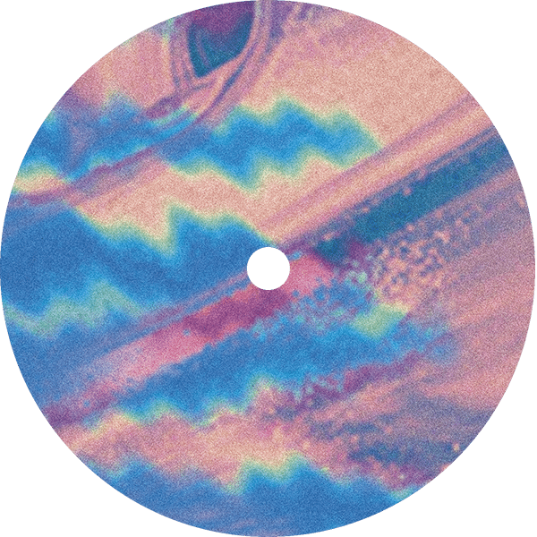 The Weirding Module / Evocation EP