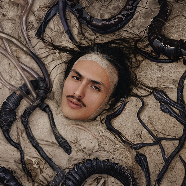 WHITEOWL004_1 Pelvic Resonance