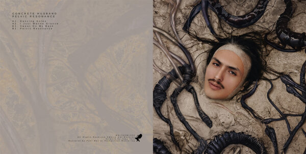 WHITEOWL004_2 Pelvic Resonance