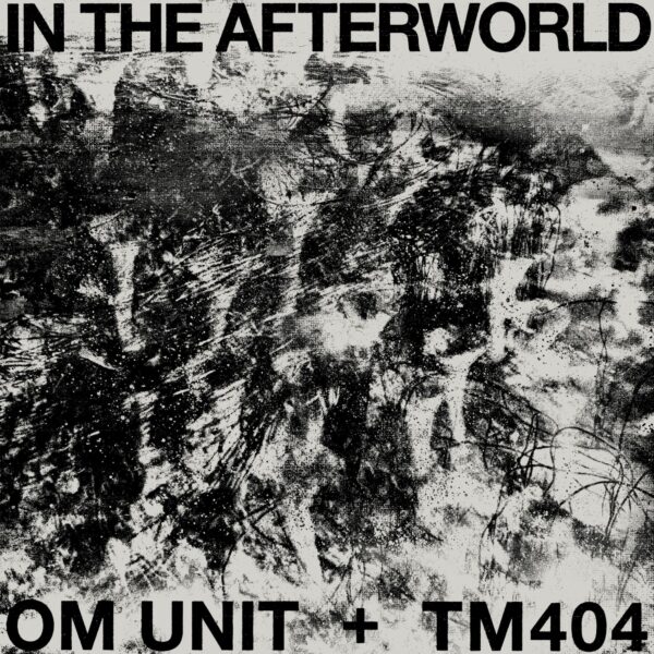 In The Afterworld LP