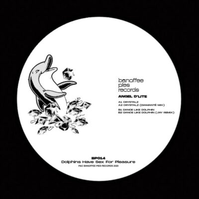 Dolphins Have Sex For Pleasure