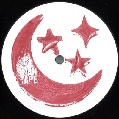 Picture In Picture LP