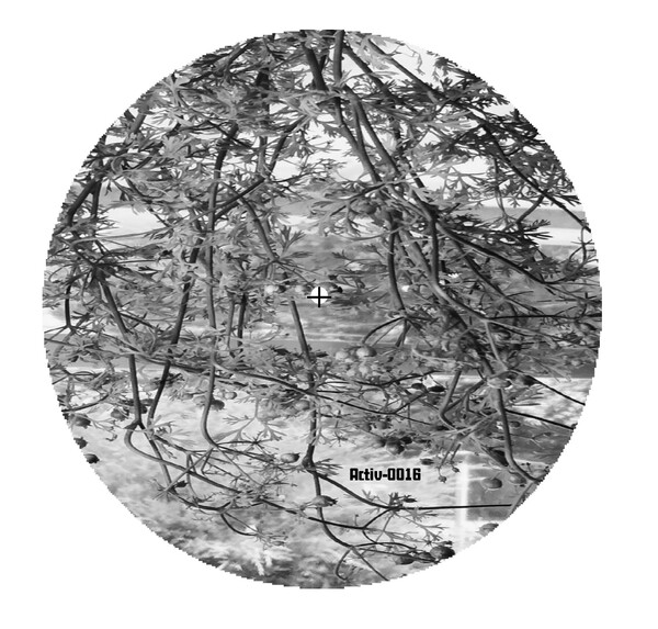 ACTIV-0016_2 Lunar Garden