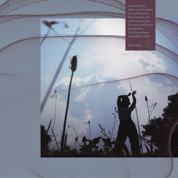 BRUTAZ-15_1 Cracked, serving assorted sweets make heaven