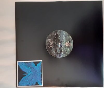 Transition/Intuition