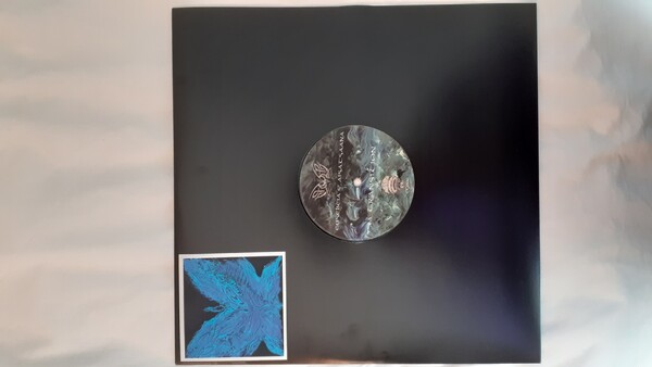 Transition/Intuition