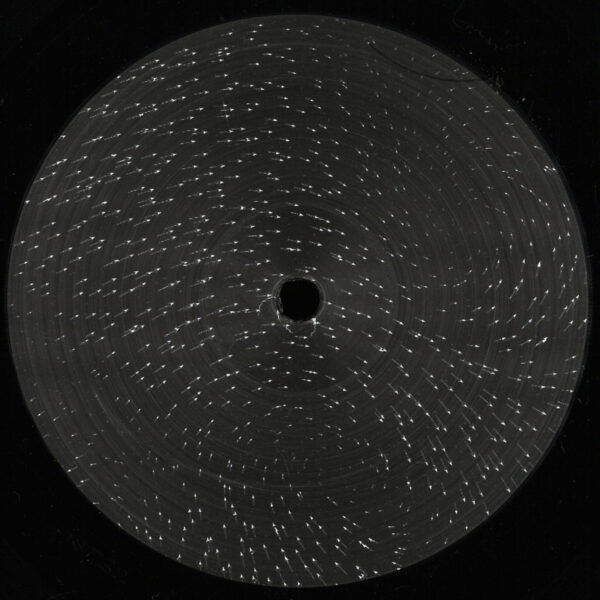 Adventures Of An Omnivoyant Mind