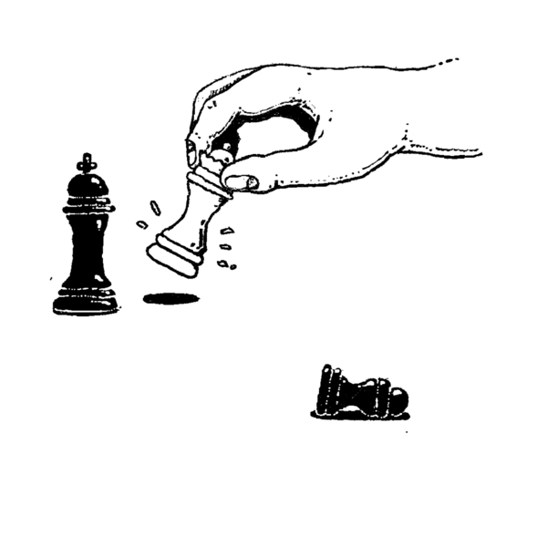 domesticated007_1 The Game