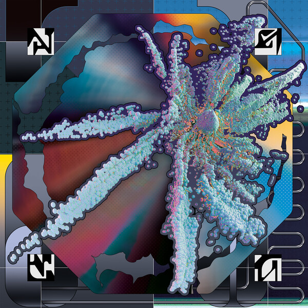 Fractured Frequencies