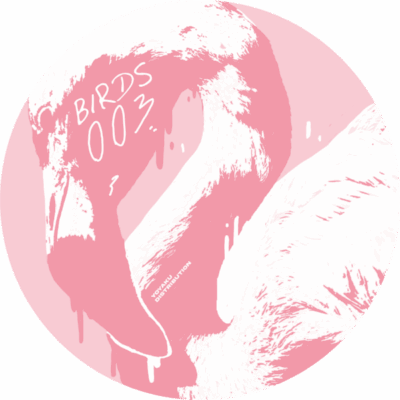 BIRD003_1 Collage of Memories