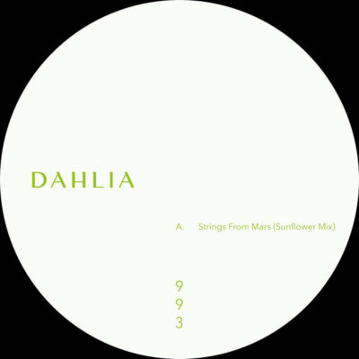 DAHLIA 993