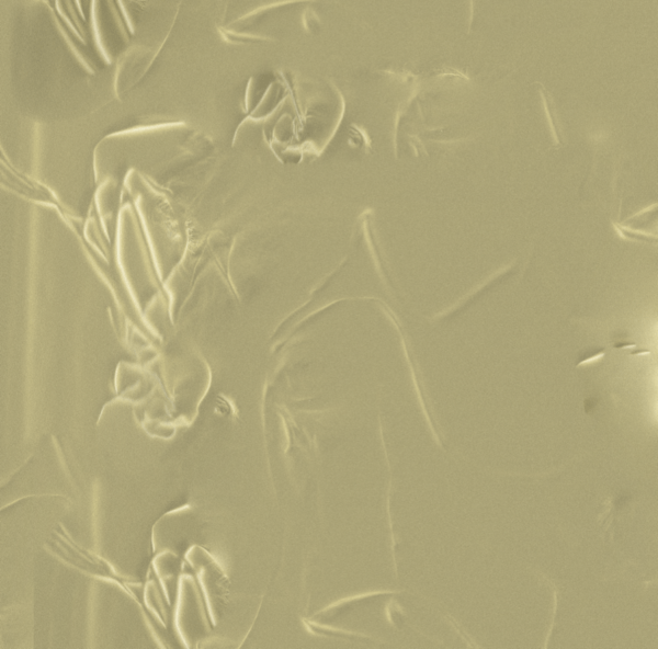 Peculiar Glow Vol. 1