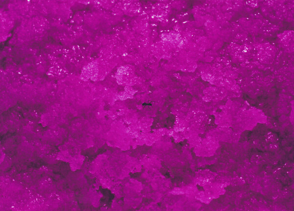 ACOLOUR047_1 Scythe - Head X'Change