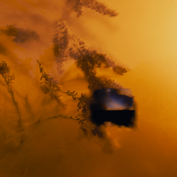 MW011_1 It Means a Lot