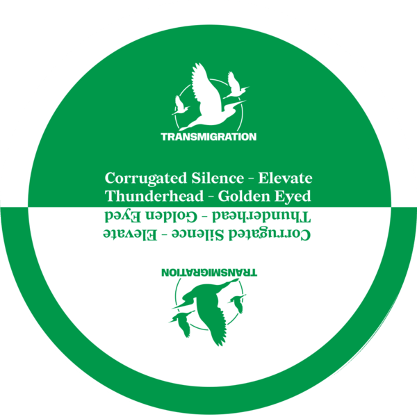 TM023_3 Elevate / Golden Eyed