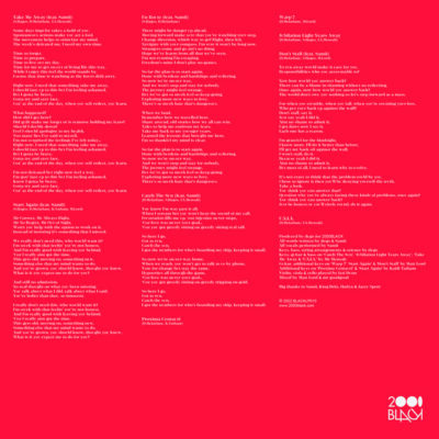 Love Was Never Your Goal LP