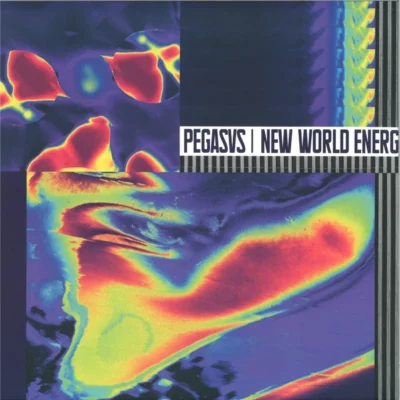 New World Energy