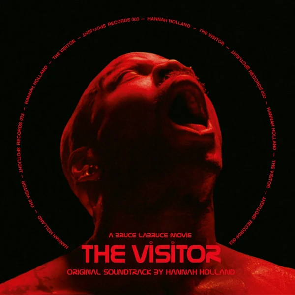 The Visitor