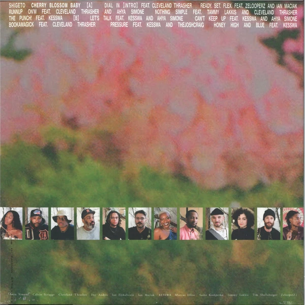 Cherry Blossom Baby LP