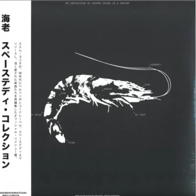 Space Teddy Collection