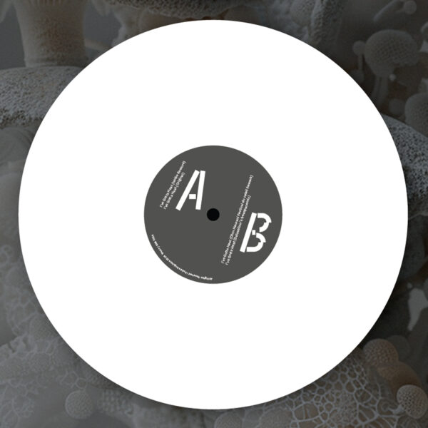 ANGL011_B-SIDE Delavelour ''I've Gotta Heat'' Remixes by Isolée and Ohm Hourani