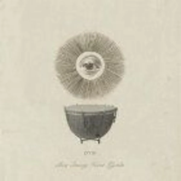 Beta Sensory Motor Rhythm LP 2x12