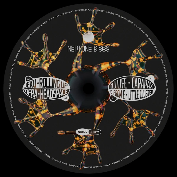 ND025_2_600 Next Vinyl Release on Neptune Discs