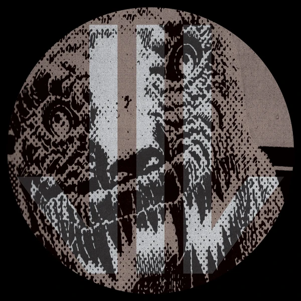 Fuck This Sound / Electric.Job