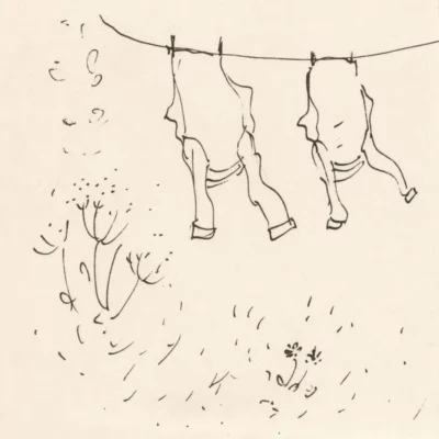 The Wind That Had Not Touched Land