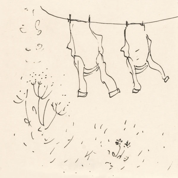 The Wind That Had Not Touched Land