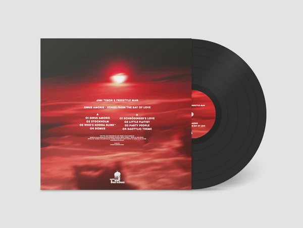 BARN112_2_600 Sinus Amoris (Songs from the Bay of Love) (LP)