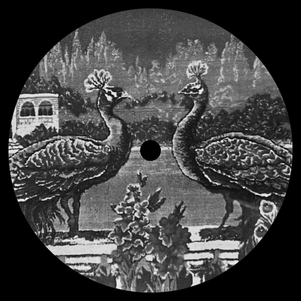 MEANDER33_2_600 Skylark EP