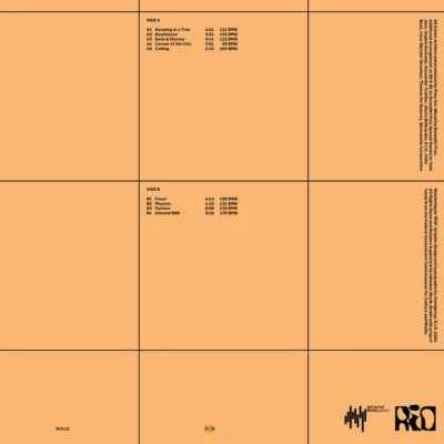 RIO12_1_600 Simulate Yourself