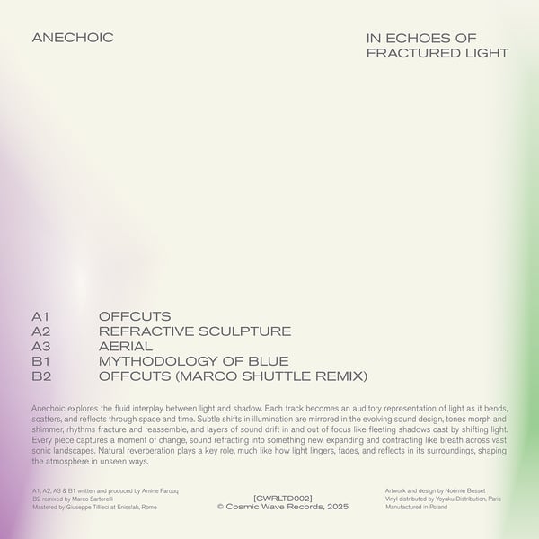 In Echoes Of Fractured Light