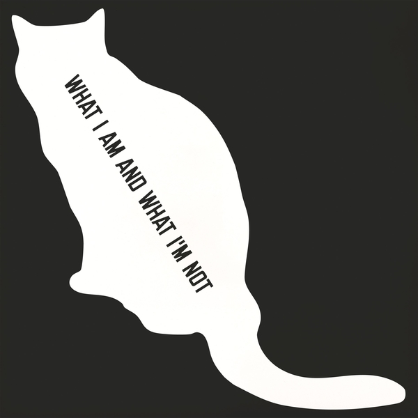 What I Am And What I'm Not lp