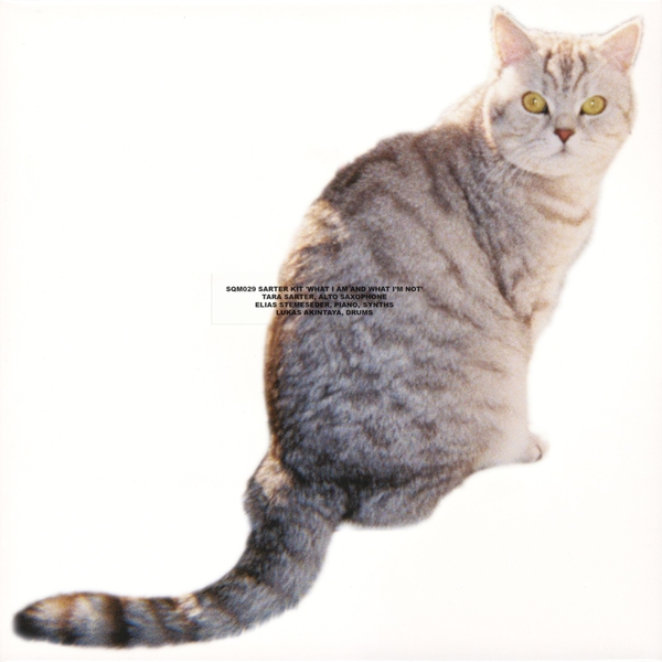 What I Am And What I'm Not lp