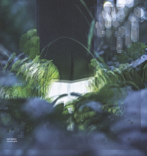 ANIMA17_1_600 Wavelengths