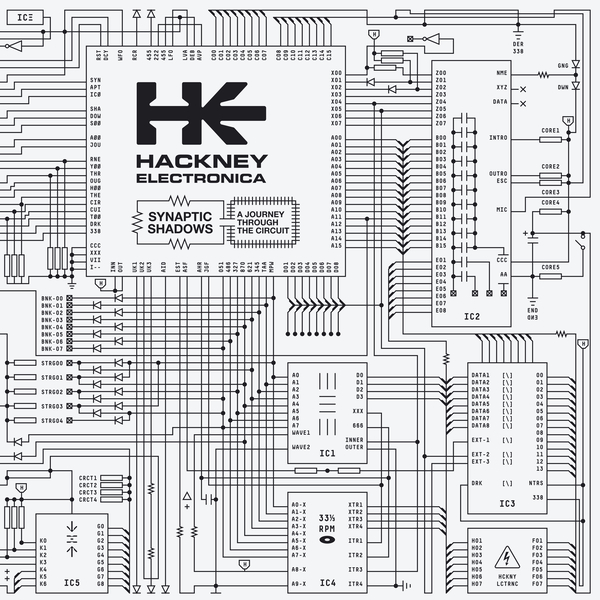 Dark Entries - Synaptic