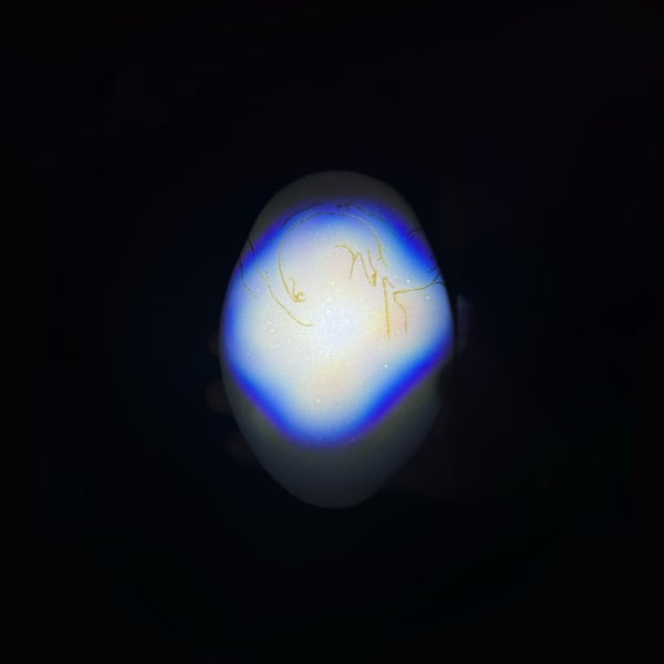 GODREC39_1_600 Morpho