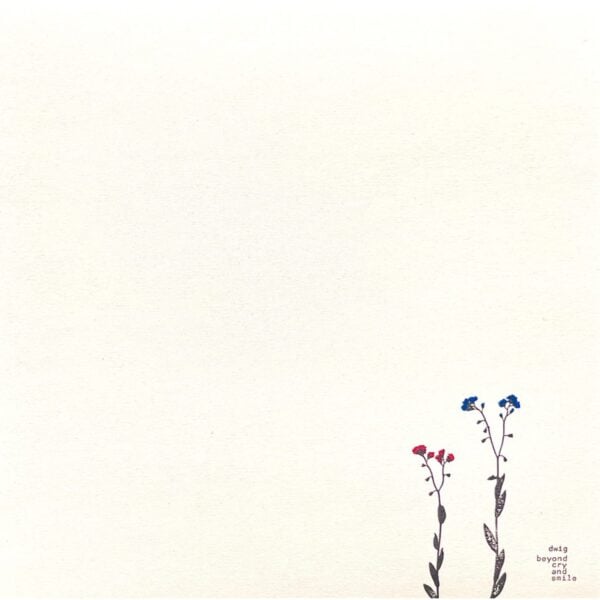 dwig big Beyond Cry And Smile EP