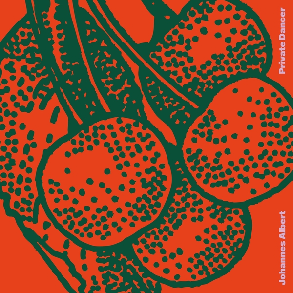 permvac355-1_1_600 Private Dancer (LP)