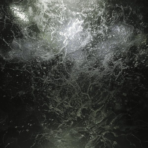 A Gate To The Forest (Ayū & Marijn S Remixes)